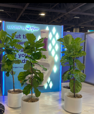 6' Plant Rentals Plant Rentals