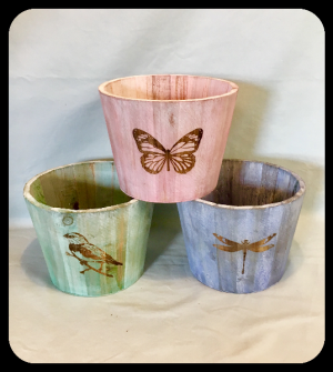 6" Plant Wooden Container Upgrade in Bryan, TX | NAN'S BLOSSOM SHOP 6" Plant Wooden Container Upgrade in Bryan, TX | NAN'S BLOSSOM SHOP