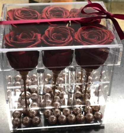 6 Preserved Roses with Gold stems