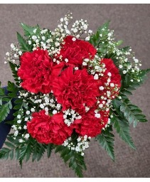 6 Red Carnation Prom Hand Tied Bouquet FHF-P79 Pick up only