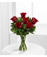6 red roses arranged  
