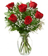 6 Red Roses  Arranged