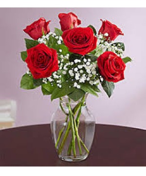 6 Red Roses Arregement in vase  Roses 