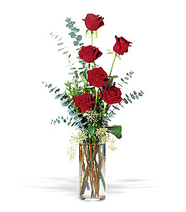 6 Red Roses with Accents 