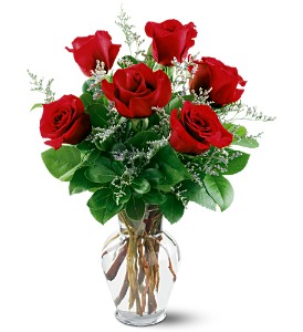 Half Dozen Roses Vast Variety of Colors Available 