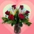 6 Rose Premium Vase  Half Dozen Red Roses with Stargazer Lillies 