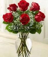 6 Stem Roses Your Color Choice