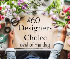 $60 deal of the day in Osoyoos, BC | POLKA DOT DOOR $60 deal of the day in Osoyoos, BC | POLKA DOT DOOR