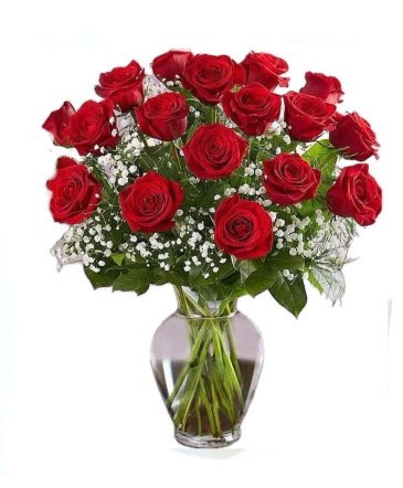 60cm Long Stem Roses Deluxe  in Mount Pearl, NL | Floral Elegance Multi-Designs