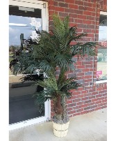 6ft Artificial Palm Limited supply