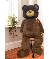 6ft. TeddyBear Giant Plushie