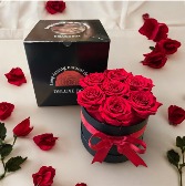 7 Everlasting Preserved Roses in a box 