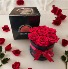 7 Everlasting Preserved Roses in a box 