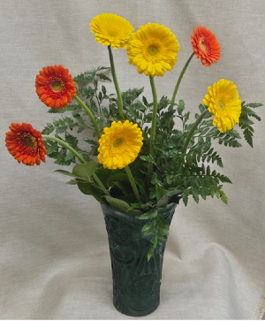 7 Mini Gerbera Daisies $25 Option