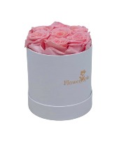 7 Preserved pink rose long lasting 1 to 2 years  preserved rose
