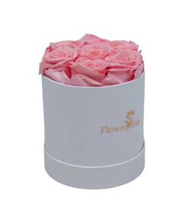 7 Preserved pink rose long lasting 1 to 2 years  preserved rose in Miami, FL | FLOWERTOPIA