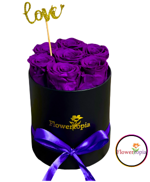 7 PRESERVED PURPLE ROSES IN A ROUND BOX Preserved Roses