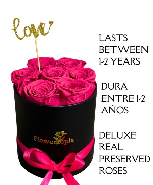 7 Preserved Hot Pink Roses in a Round Box  Preserved Rose Box