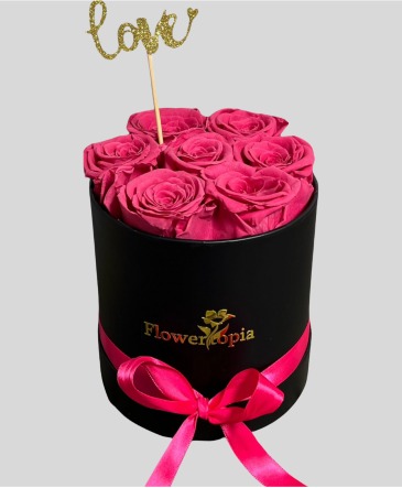 7 Preserved rosy rose long lasting 1 to 3 years  preserved rose in Miami, FL | FLOWERTOPIA
