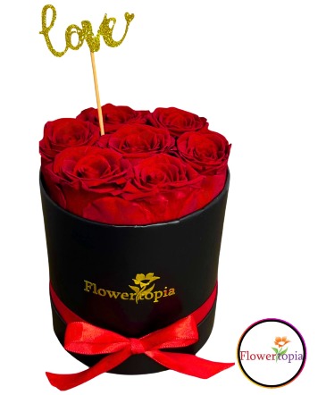 7 Rosas Rojas Preservadas en Caja Redonda Caja de Rosas Preservadas in Miami, FL | FLOWERTOPIA
