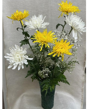 7 Spider Mums with Baby's Breath $25 Option