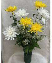 7 SPIDER MUMS WITH BABY'S BREATH $30 Option