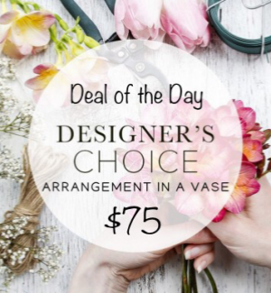$75 Deal of the Day ✨ in Osoyoos, BC | POLKA DOT DOOR $75 Deal of the Day ✨ in Osoyoos, BC | POLKA DOT DOOR