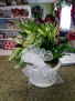  DISH GARDEN  Plant