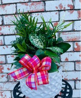 8 Inch Dish Garden Plant