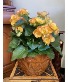 Purchase this funeral home arrangement