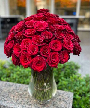 85 Red Roses 