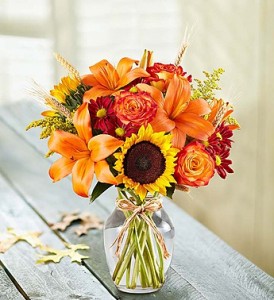 Fields of Europe™ for Fall Fall Flowers