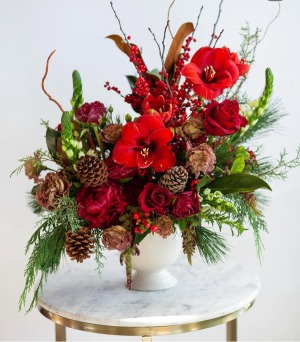 Crimson Evergreen Grandeur 