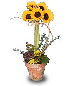 SOLAR POWER Topiary Pot in Valhalla, NY | Lakeview Florist