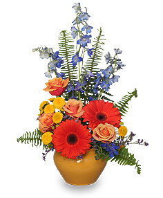 Category Image