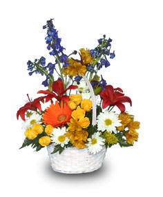 A CHEERFUL RAINBOW Basket of Flowers