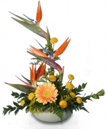 TROPICAL TRIBUTE Father's Day Flowers