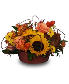 SUNFLOWER SENSATION Centerpiece in Miami, OK | B.Oliver's Florist, Gifts & Home Decor SUNFLOWER SENSATION Centerpiece in Miami, OK | B.Oliver's Florist, Gifts & Home Decor