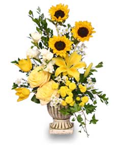 SUNLIGHT SPLENDOR Flower Arrangement