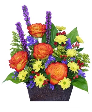 FLORAL FELICITY Arrangement