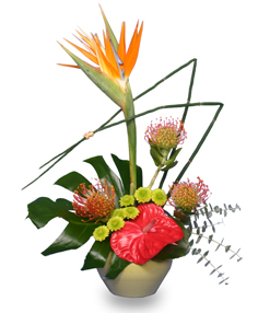Category Image