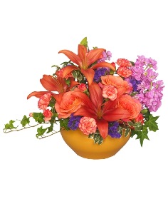Category Image