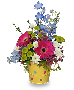 Category Image