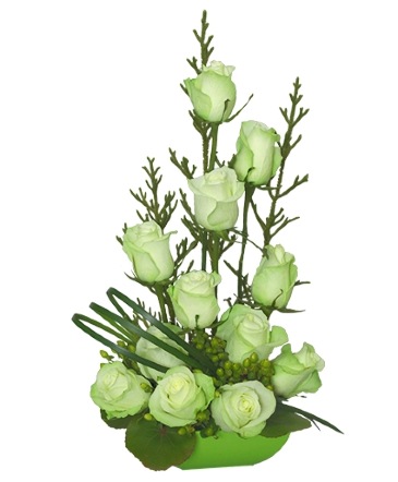 Jade Green Roses Arrangement in Richland, WA | ARLENE'S FLOWERS AND GIFTS