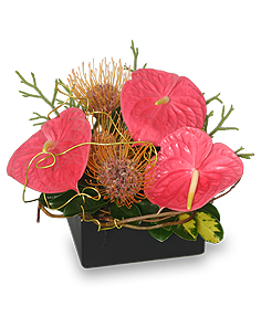 BEAUTY INTERTWINED Floral Arrangement