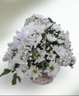 A Basket Full Of Daisies FHF-D5698 Fresh Flower Arrangement (Local Delivery Area Only)
