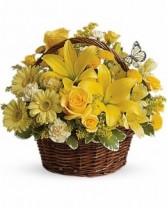 A Basket Full of Wishes