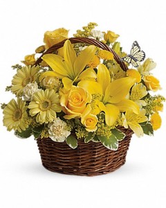 A Basket Full of Wishes