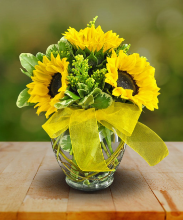 A Bit of Sunshine Vase Arrangement