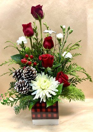 A Christmas Story Festive Cube Arrangement